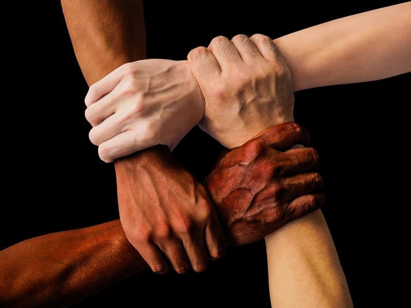 Diversity